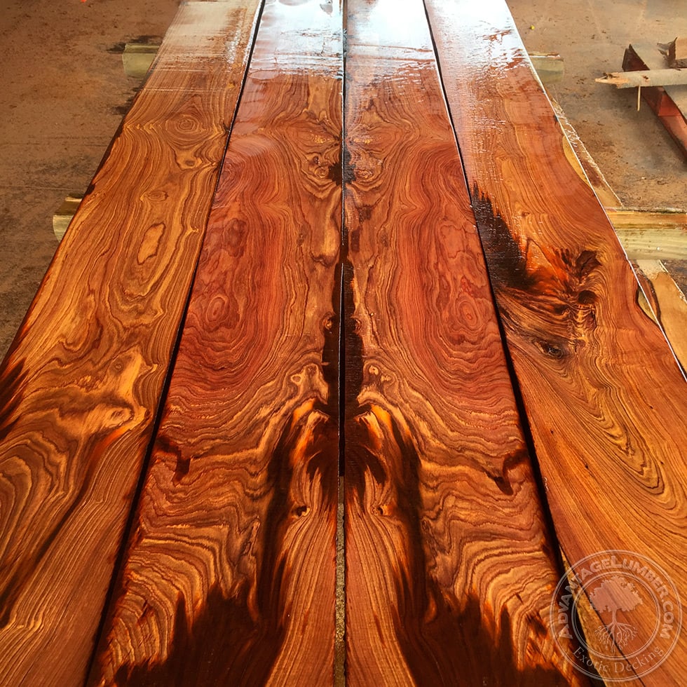 cocobolo lumber detial