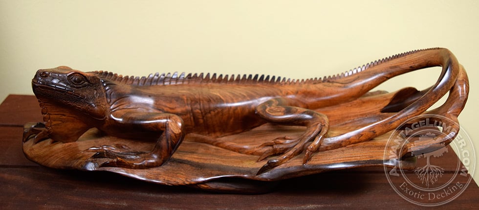 cocobolo wood lizard