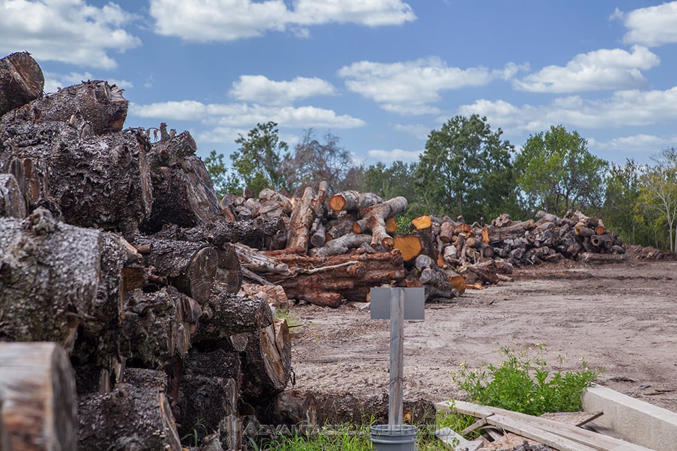 lumber logs