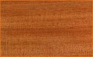 African Mahogany