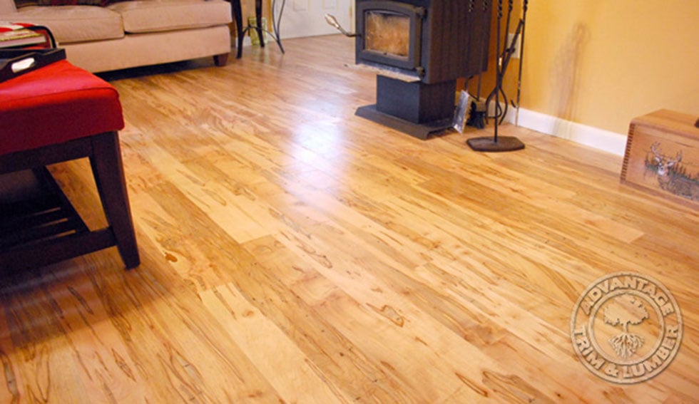 ambrosia maple flooring