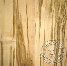 ambrosia maple flooring