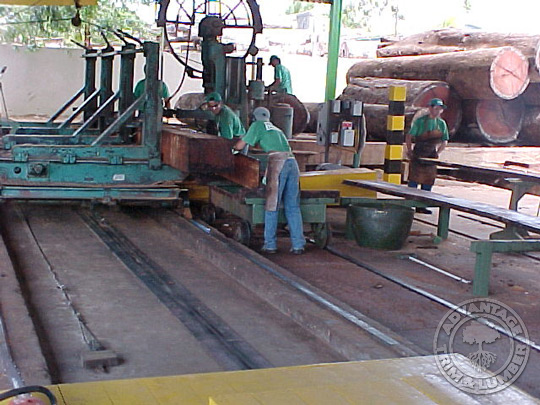 brazilian cherry being milled