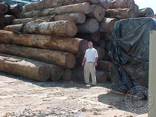 jatoba lumber