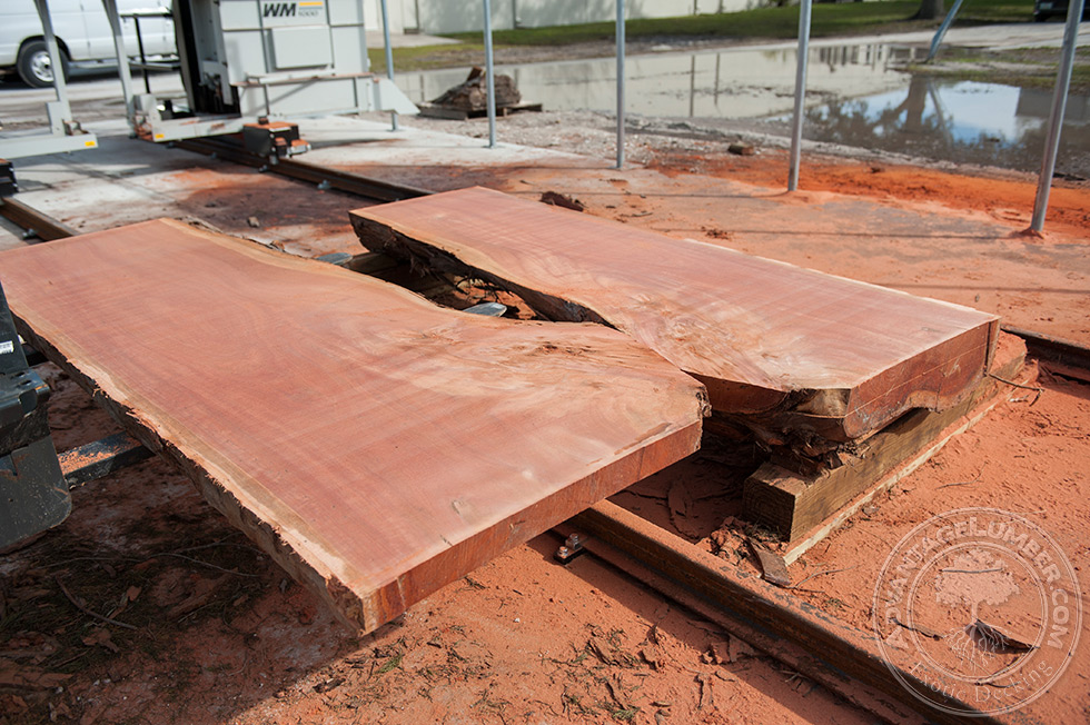 eucalyptus lumber milling