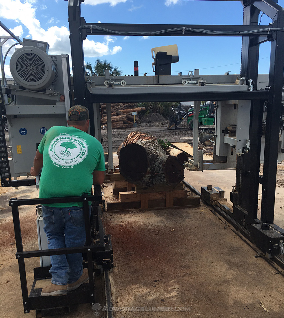 large lumber mill wood slabs