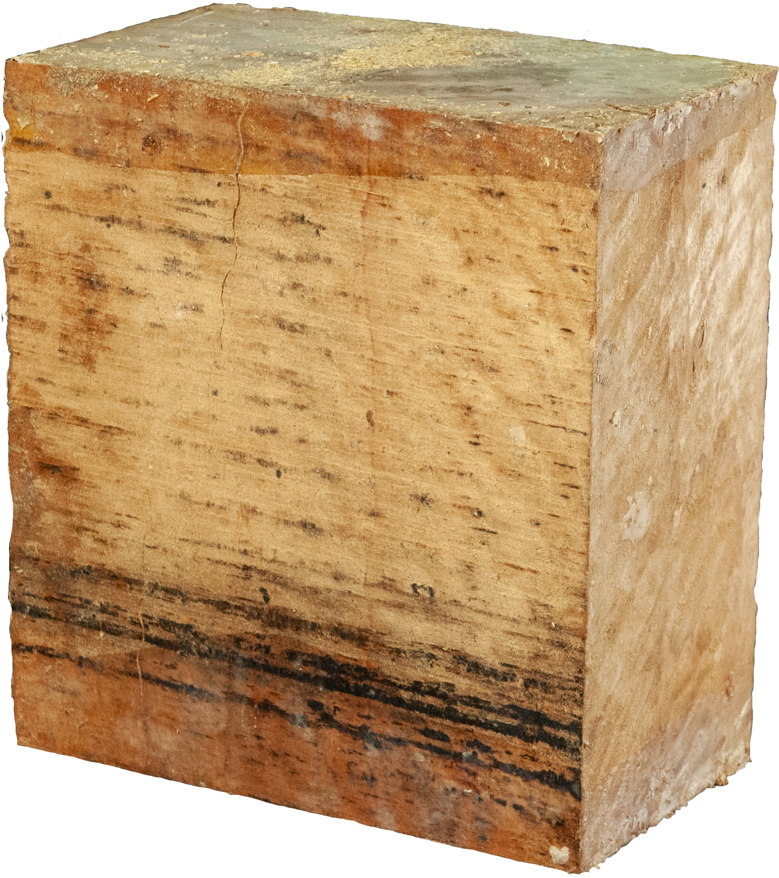 3″ x 6″ x 6″ Eucalyptus Turning Blank