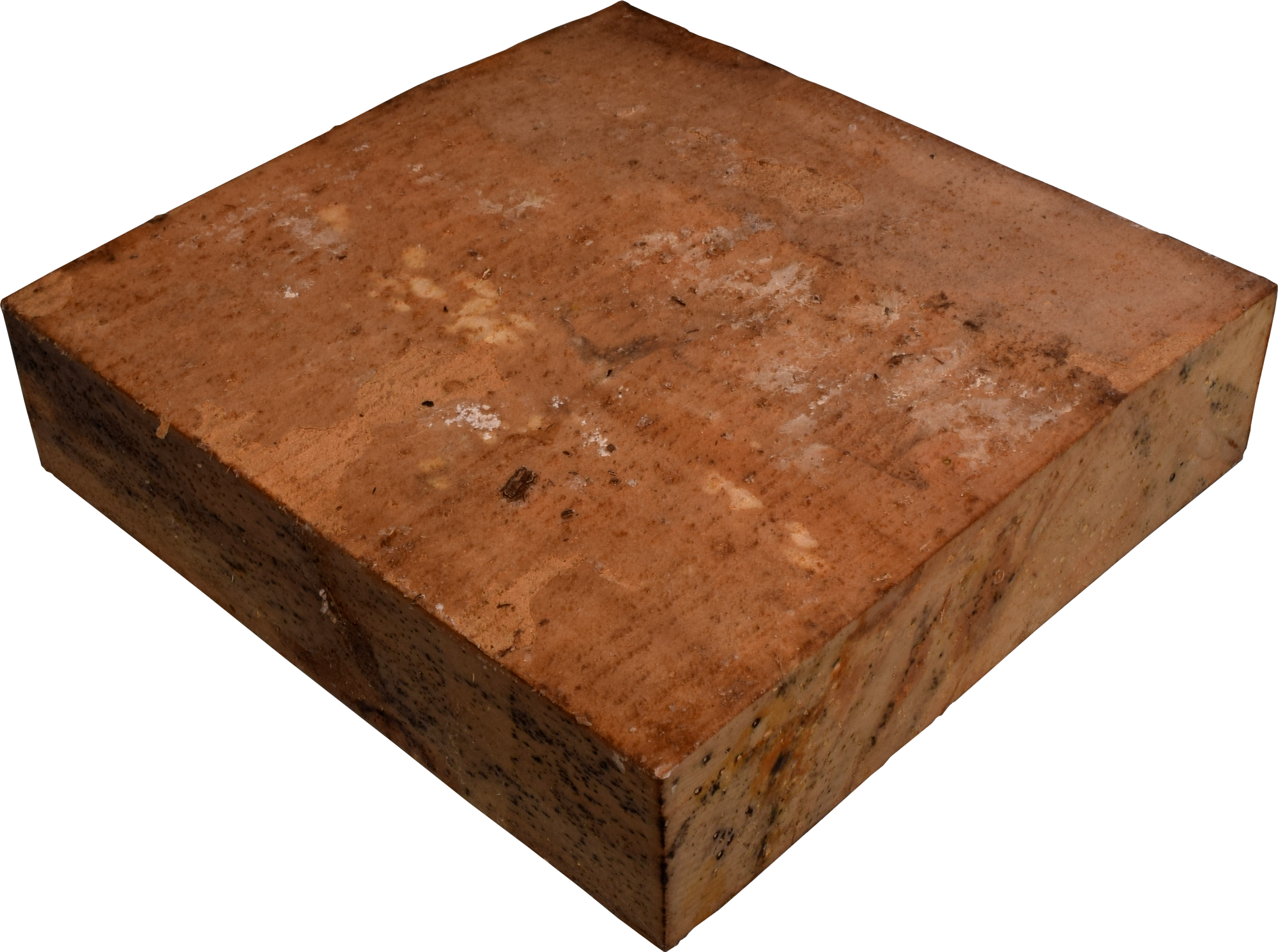 2″ x 8″ x 8″ Spalted Maple Turning Blank