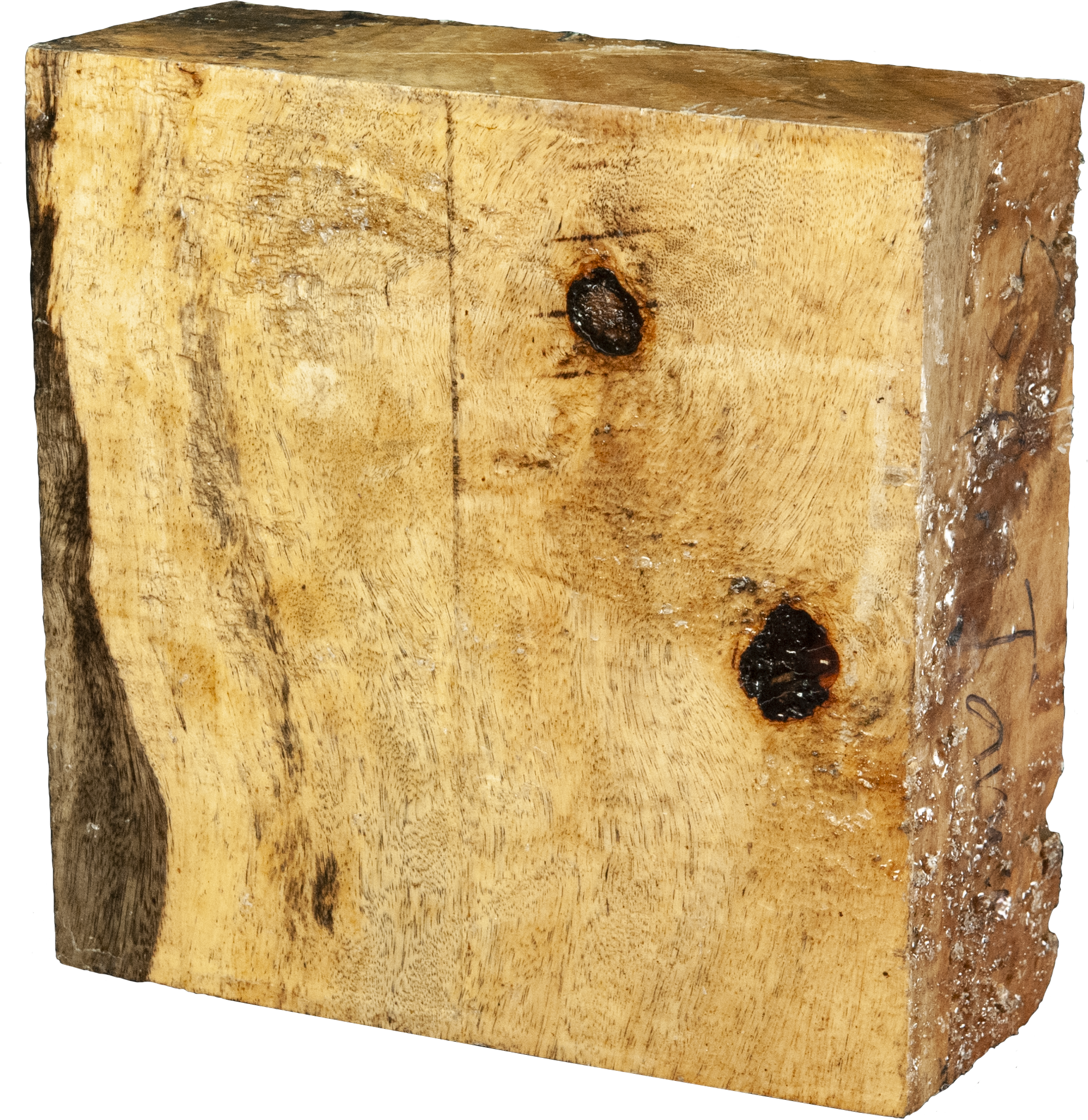 3″ x 8″ x 8″ Spalted Tamarind Turning Blank